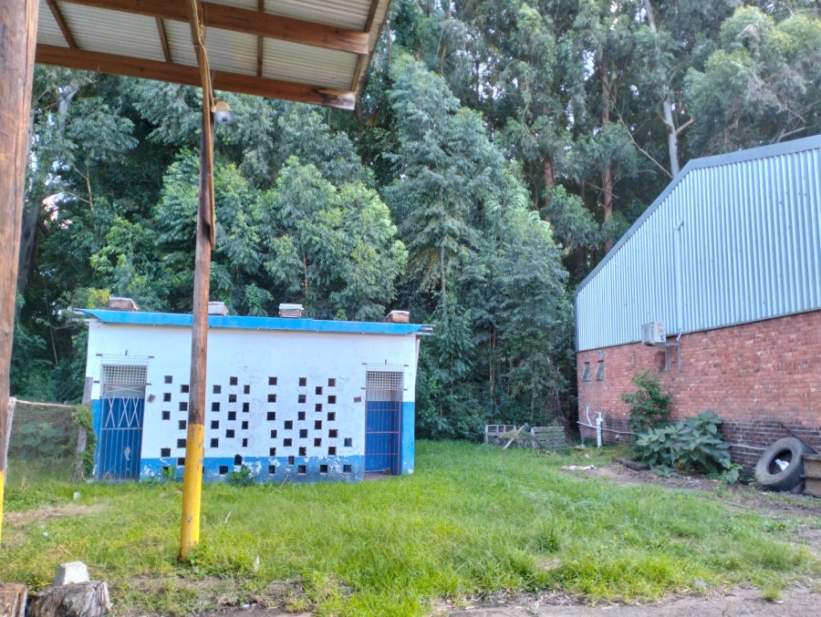 Commercial Property for Sale in Witelsbos Eastern Cape